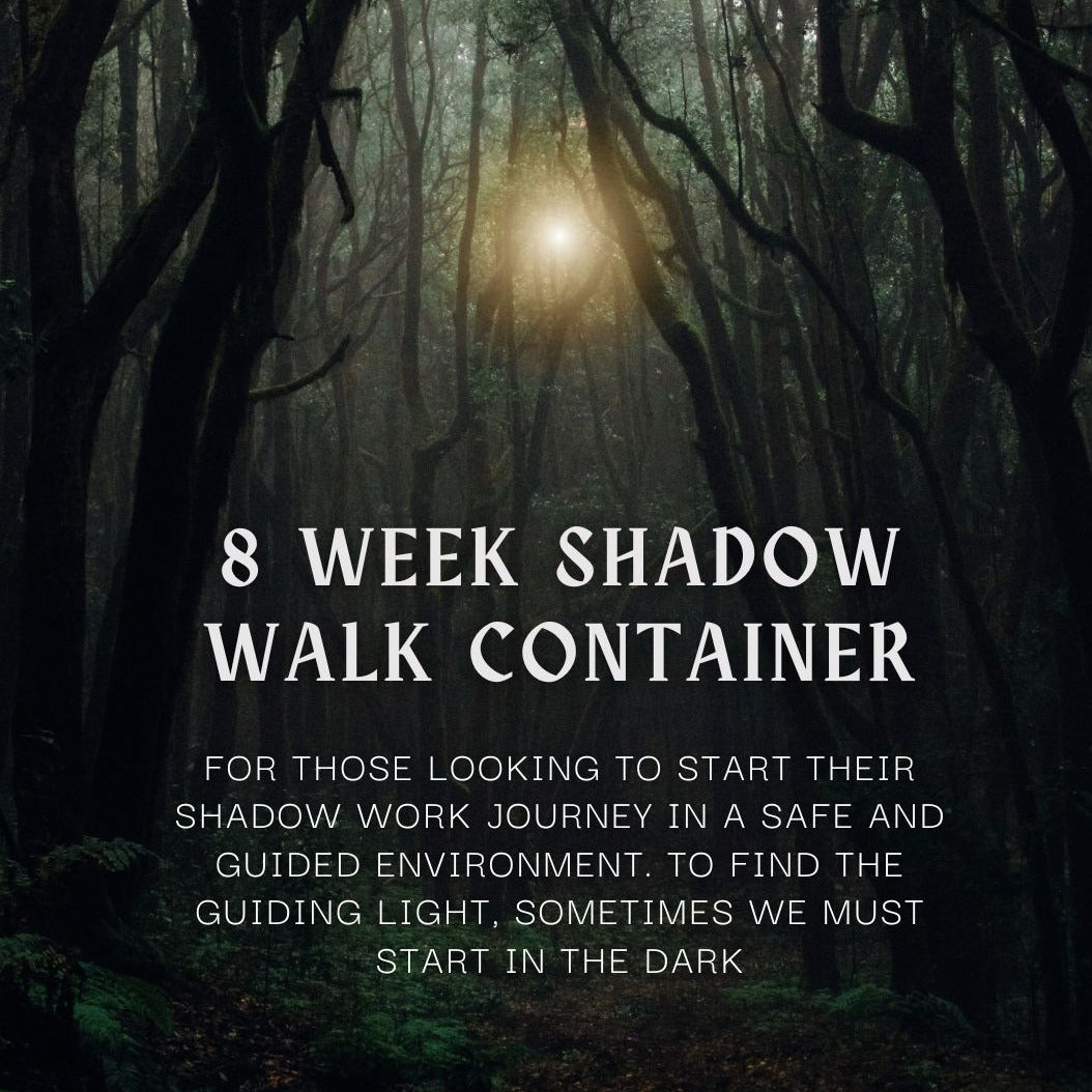 8 Week Shadow Walk - 1-1 sessions